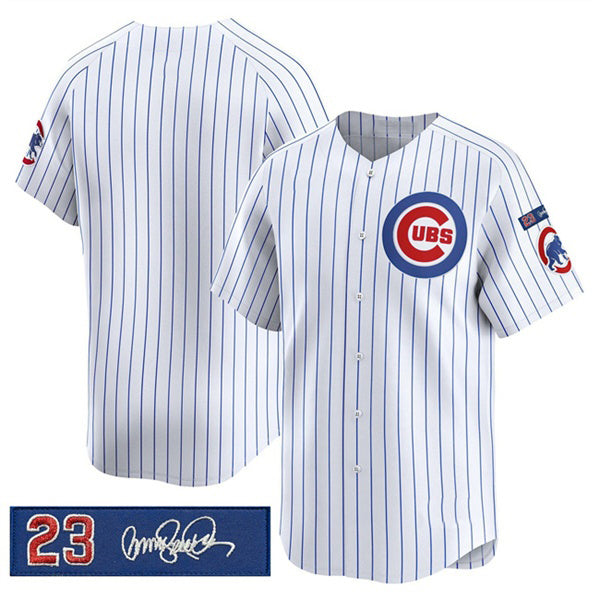 Chicago Cubs Blank White Pinstripe 'Ryne Sandberg Tribute' Vapor Limited V3 Stitched Baseball Jersey