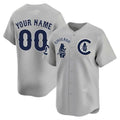 Chicago Cubs Special Vapor Premier Limited Custom Jersey V2 ¨C Gray Baseball Jersey