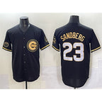 Chicago Cubs #23 Ryne Sandberg Black Gold 'Ryne Sandberg Tribute' Vapor Limited V2 Stitched Baseball Jersey