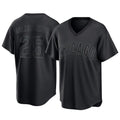 Chicago Cubs #25 Mois¨¦s Ballesteros Player Black Home Game Stitched Baseball Jersey