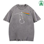 Cat Chasing a Rainbow Printed Washed T-Shirt 230G Loose Trendy Fashionable Cotton Short Sleeve Top Clearance Sale