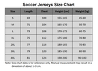 Cristiano Ronaldo Career Tribute Jersey