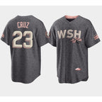 Washington Nationals #23 Nelson Cruz 2022 Grey City Connect Cherry Blossom Cool Base Stitched Cool Baseball Jersey